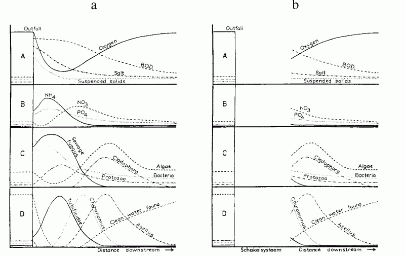 fig_claassen_3.gif (40349 bytes)