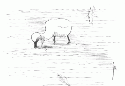 lepelaar_eurosite.gif (18381 bytes)
